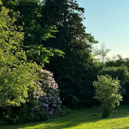 Small House With Large Garden Near * Vejby